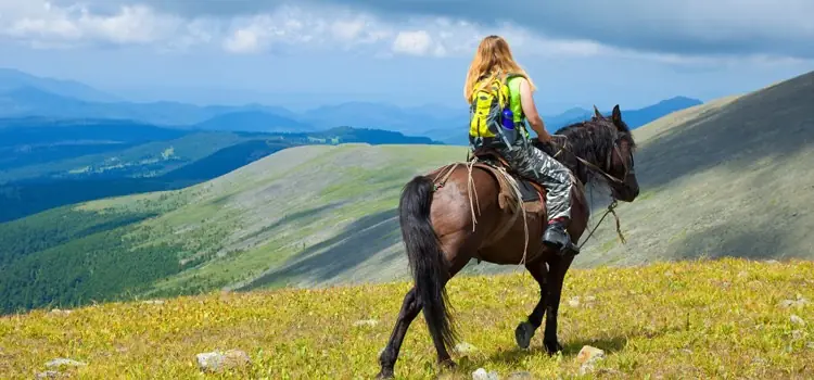 A rider on horseback crossing open fell
