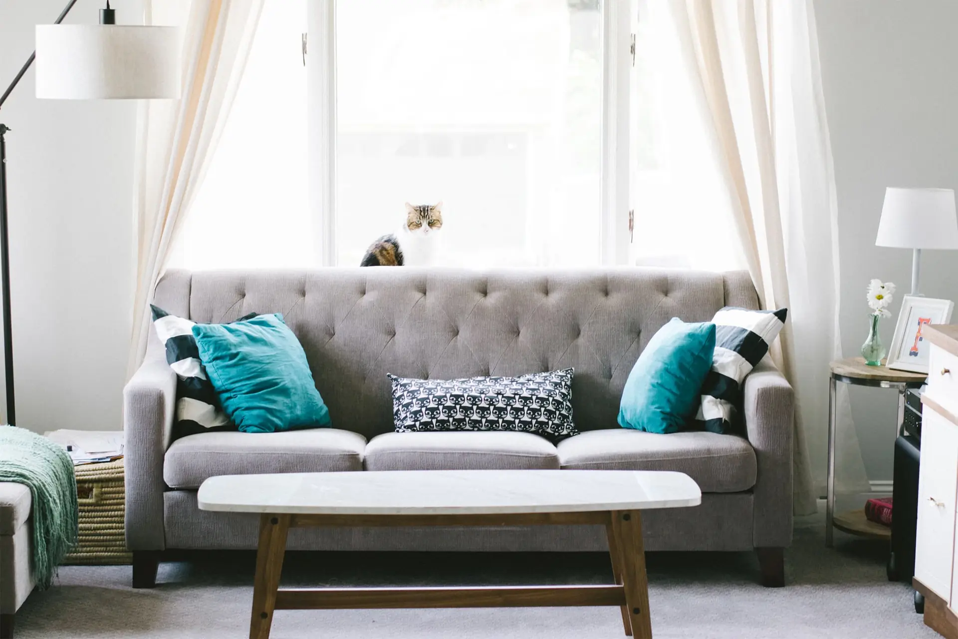 Bright guest lounge with a grey tufted sofa and teal cushions